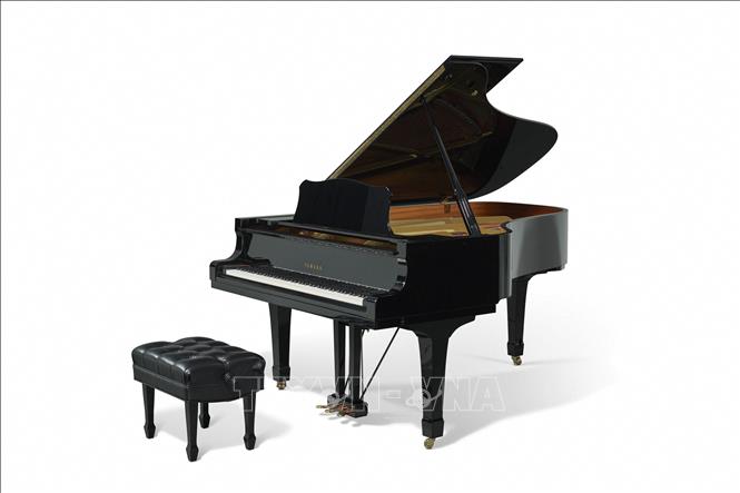 Cây đàn piano hiệu Yamaha danh ca Elton John từng sử dụng trong các buổi biểu diễn ở Broadway đã được mua lại với giá 200.000 USD trong phiên đấu giá tại New York, Mỹ, ngày 21/2/2024. Ảnh: AFP/TTXVN