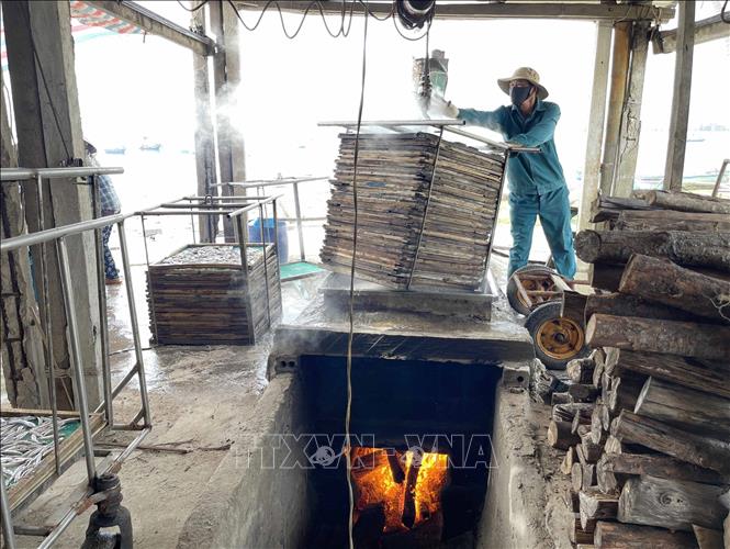 Các lò hấp cá cơm ở Tịnh Kỳ liên tục đỏ lửa những ngày đầu năm. Ảnh: Phạm Cường - TTXVN