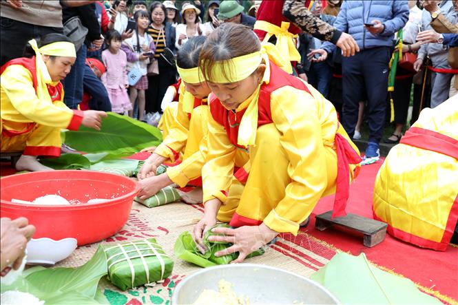 Các nghệ nhân thi gói bánh chưng. Ảnh: Mạnh Tú - TTXVN
