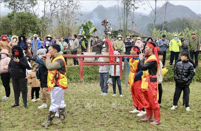 Rước lễ vật cung tiến (cây thiên tuế, cây lúa, cây bong, cây ngô, cây khoai, kén tằm …) tại Lễ hội Ná Nhèm. Ảnh: Anh Tuấn – TTXVN
