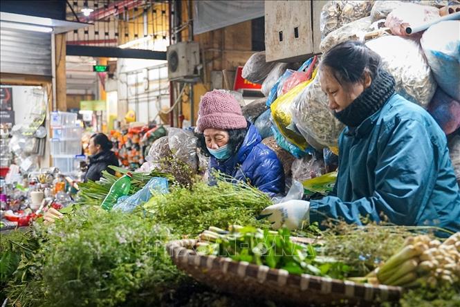Stands of spice vegetables and medical herbs in Hom market on Hue street of Hanoi. VNA Photo: Khánh Hòa