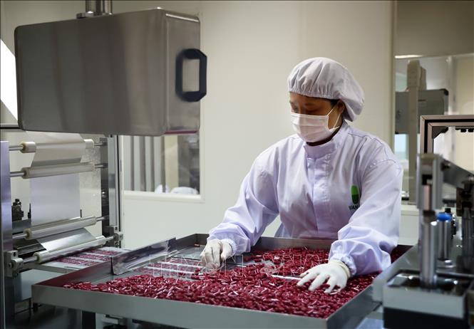 Dây chuyền sản xuất viên nang tại nhà máy sản xuất dược phẩm của Công ty TNHH Vạn Xuân. Ảnh: Hồng Đạt - TTXVN
