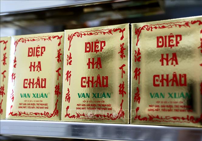 Dược phẩm Diệp Hà Châu của Công ty TNHH Vạn Xuân. Ảnh: Hồng Đạt - TTXVN
