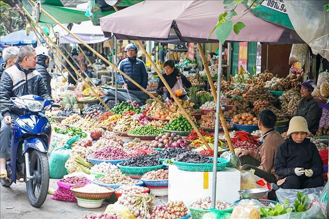 Thanh Ha - the unique countryside-style market in Hanoi. VNA Photo: Khánh Hòa