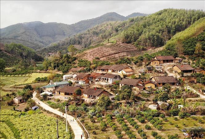 Thôn Bắc Hoa, xã Tân Sơn (Lục Ngạn, Bắc Giang). Ảnh: Danh Lam - TTXVN