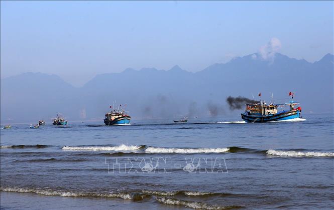 Các thuyền cá ngư dân thực hiện nghi thức ra quân đánh bắt thủy sản tại Lễ Cầu ngư. Ảnh: Trần Lê Lâm - TTXVN
