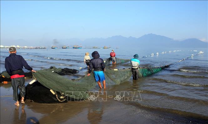 Ngư dân kéo lưới sau đánh bắt thủy sản tại Lễ Cầu ngư. Ảnh: Trần Lê Lâm - TTXVN