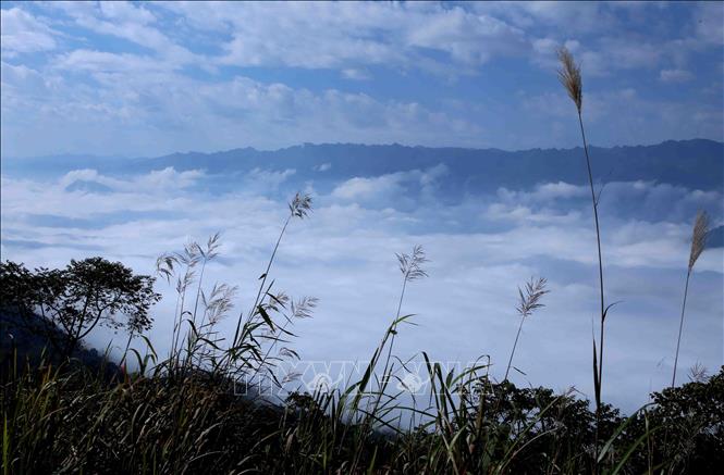 Những biển mây lững lờ trôi đan xen những ngọn núi trùng trùng, điệp điệp hút tầm mắt. Ảnh: Quý Trung – TTXVN