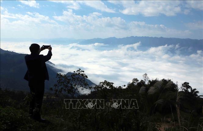 A visitor is immersed in the heavenly scene in Ma Quai commune, Sin Ho District. VNA Photo: Quý Trung