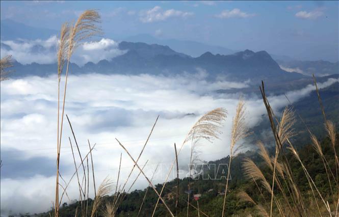 A spectacular view of cloud sea in Sin Ho district. VNA Photo: Quý Trung