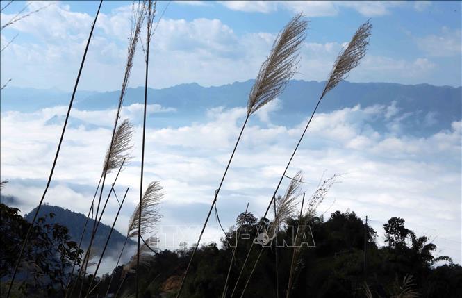 Clear sky and low clouds with mountain peaks as the skyline bring excitement for each cloud hunt. VNA Photo: Quý Trung