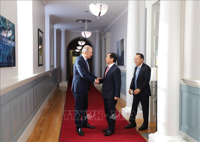 Ireland’s Deputy Prime Minister, Minister for Foreign Affairs and Minister for Defense of Ireland Micheál Martin and Vietnamese Minister of Foreign Affairs Bui Thanh Son after their talks. VNA Photo: Phong Hà