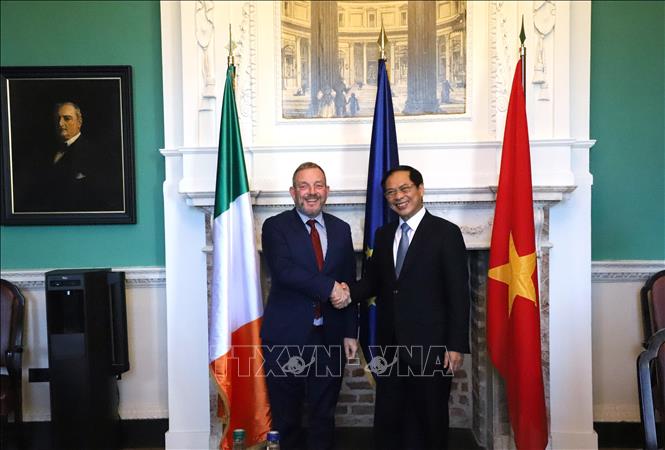 Vietnamese Minister of Foreign Affairs Bui Thanh Son and Cathaoirleach of Seanad Éireann (speaker of the upper house) Jerry Buttimer. VNA Photo: Phong Hà
