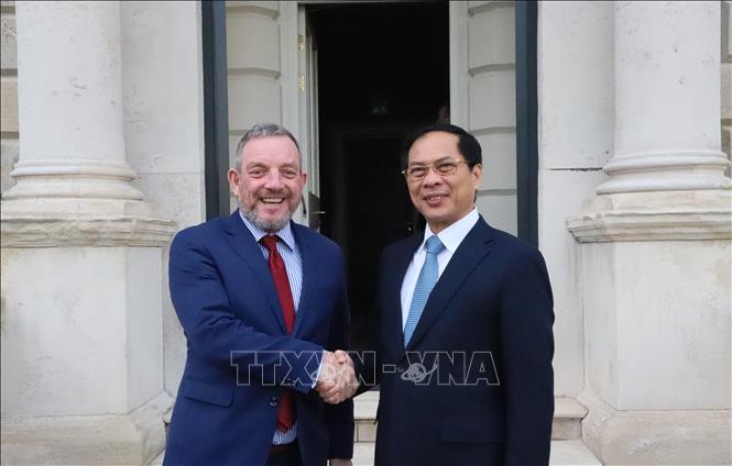 Vietnamese Minister of Foreign Affairs Bui Thanh Son and Cathaoirleach of Seanad Éireann (speaker of the upper house) Jerry Buttimer. VNA Photo: Phong Hà