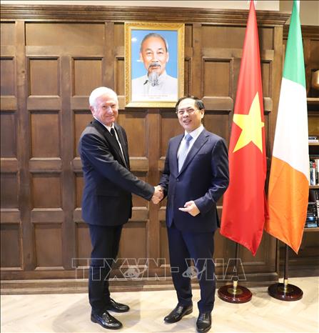 Honorary Consul of Vietnam in Dublin Patrick Gerard McKillen meets Honorary Consul of Vietnam in Dublin Patrick Gerard McKillen. VNA Photo: Phong Hà