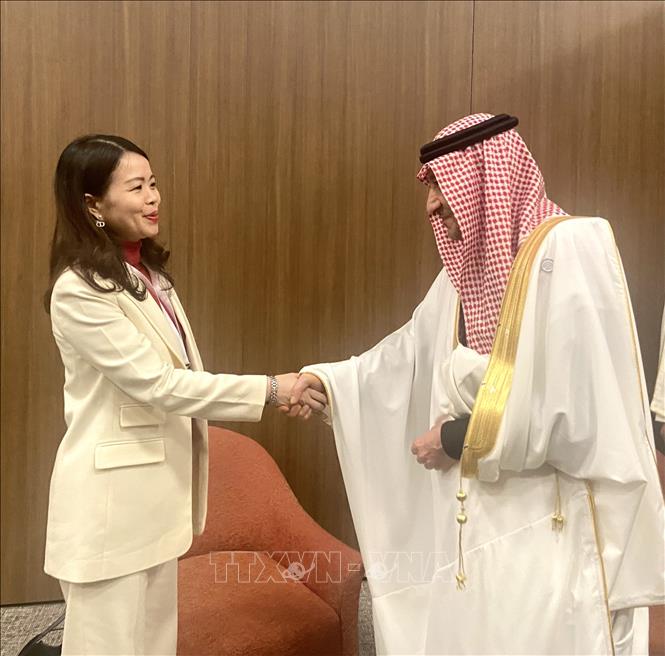 Thứ trưởng Nguyễn Minh Hằng hội kiến Thứ trưởng Ngoại giao Saudi Arabia Waleed Al Khuraiji. Ảnh: TTXVN phát