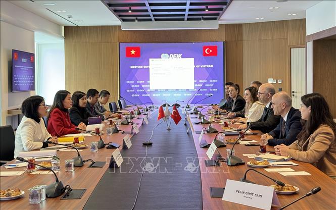 Thứ trưởng Nguyễn Minh Hằng làm việc với Ủy ban Kinh tế đối ngoại Thổ Nhĩ Kỳ DEIK. Ảnh: TTXVN phát