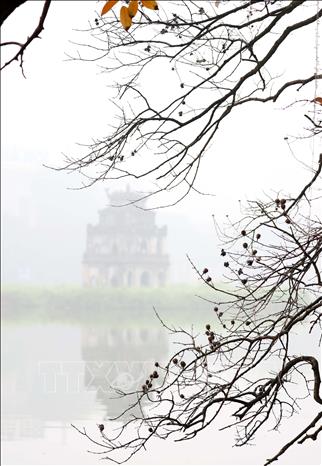 Những tán cây đổ nghiêng xuống mặt hồ cùng lớp sương mù tạo nên một không gian rất riêng của Hồ Gươm. Ảnh: Nhật Anh - TTXVN
