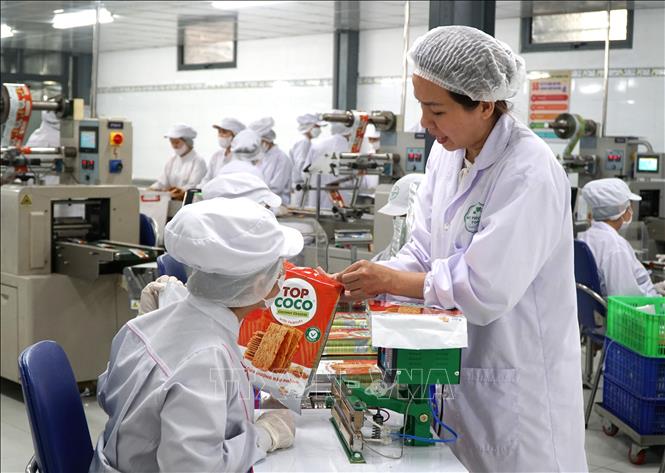 Chị Mai Thị Ý Nhi kiểm tra sản phẩm bánh dừa nướng. Ảnh: Quốc Dũng - TTXVN