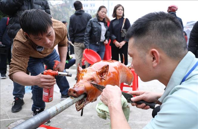 Làm đẹp lợn sau khi quay để đưa lên mâm trang trí. Ảnh: Anh Tuấn – TTXVN