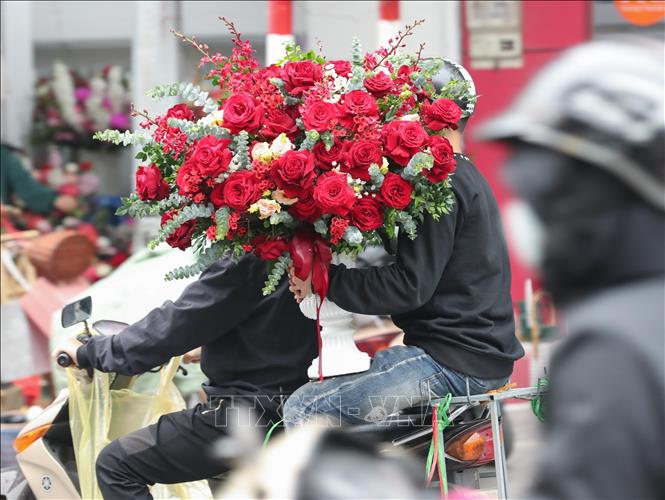 Dễ dàng bắt gặp hình ảnh vận chuyển hoa hồng trên phố dịp 8/3. Ảnh: Hoàng Hiếu - TTXVN