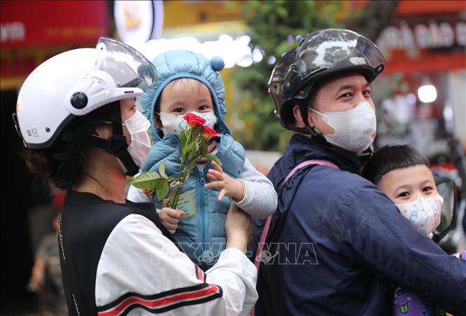 Hoa hồng dành tặng những người yêu quý trong Ngày Quốc tế Phụ nữ 8/3. Ảnh: Hoàng Hiếu - TTXVN