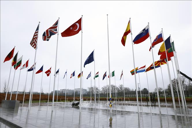 Quốc kỳ Thụy Điển chuẩn bị được kéo lên cùng quốc kỳ các quốc gia thành viên NATO tại Brussels, Bỉ ngày 11/3/2024. Ảnh: AFP/TTXVN