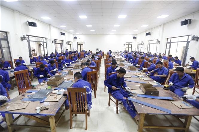 Công tác đào tạo nghề cho học viên luôn được chú trọng để học viên dễ dàng tìm được công việc phù hợp sau khi tái hòa nhập cộng đồng. Ảnh: Tuấn Anh - TTXVN 
