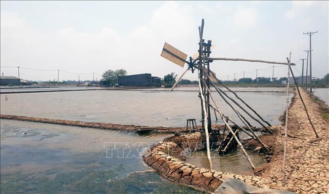 Những năm gần đây, diêm dân Tân Thuận biết tận dụng sức gió, chế tạo ra dụng cụ đưa nước biển vào ruộng muối thay sức con người. Ảnh: Huỳnh Anh -  TTXVN