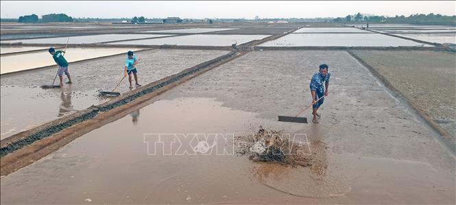 Locals in Tan Thuan commune depend on salt harvest for a stable livelihood. VNA Photo: Huỳnh Anh