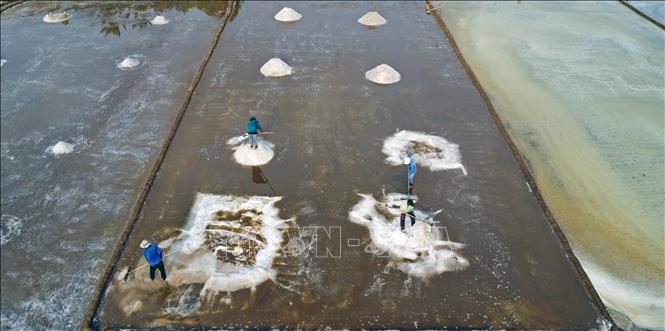 Tan Thuan commune has entered the peak of salt harvest season. VNA Photo: Huỳnh Anh