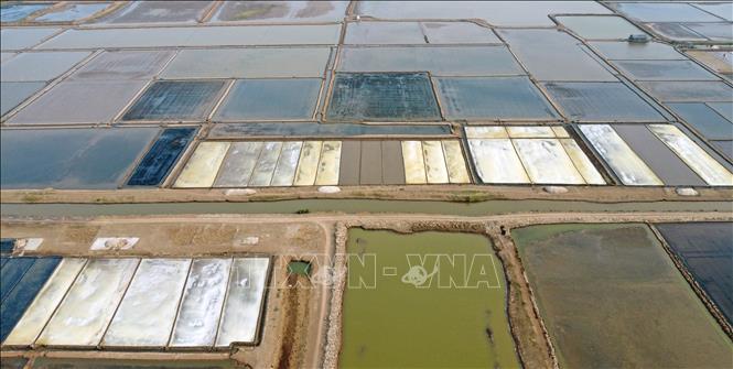 Tan Thuan salt fields provide a large and stable source of salt for the Mekong Delta region. VNA Photo: Huỳnh Anh