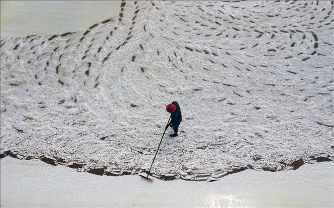 Locals in Tan Thuan commune depend on salt production for a stable livelihood. VNA Photo: Huỳnh Anh