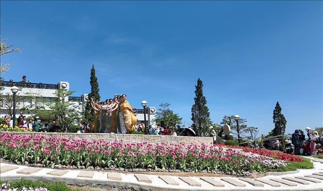 Vẻ đẹp của những bông hoa tulip kết hợp biểu diễn nghệ thuật trên núi Bà Đen. Ảnh: Giang Phương - TTXVN