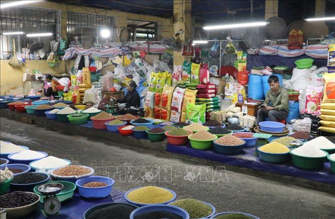 Các tiểu thương đều ủng hộ đề án của thành phố và mong muốn được sắp xếp chỗ ngồi ổn định, lâu dài tại chợ Rồng. Ảnh: Đức Phương - TTXVN