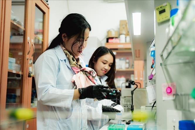 Tiến sĩ Hà Thị Thanh Hương trong phòng thí nghiệm. Ảnh: TTXVN phát