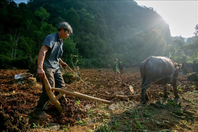 Người dân vùng cao huyện Hà Quảng chuẩn bị cho mùa vụ mới. Ảnh: Chu Hiệu-TTXVN.