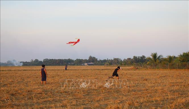 Mùa lúa đi qua, những cánh đồng trống nằm cách xa đường dây điện là nơi các em nhỏ thỏa thích chơi thả diều. Ảnh: Nguyễn Hằng - TTXVN