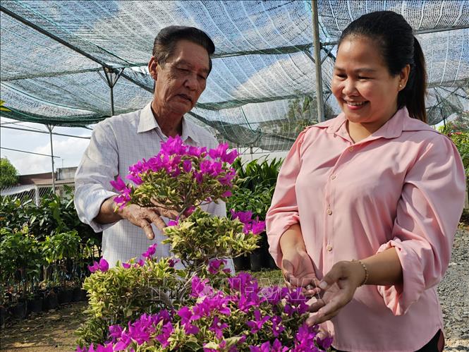 Chị Trần Thị Trúc Phương thường xuyên trao đổi với lãnh đạo Hợp tác xã cây giống và Hoa kiểng Cái Mơn để nắm bắt, cập nhật thông tin về các loại giống cây trồng. Ảnh: Chương Đài - TTXVN