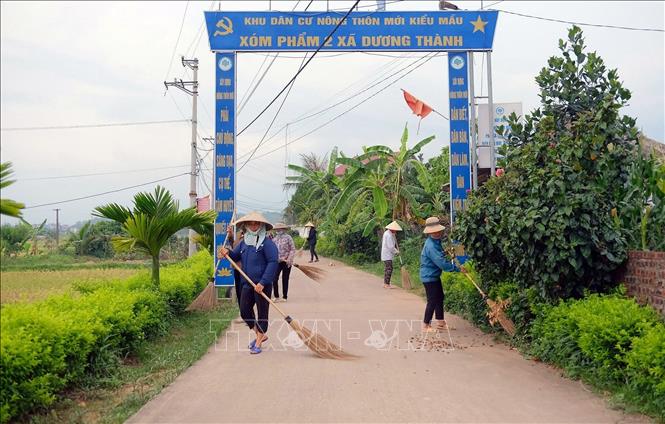 Phong trào vệ sinh môi trường ngày thứ 7 xanh được nhiều người dân ở xóm Phẩm 2, xã Dương Thành, huyện Phú Bình tham gia. Ảnh: TTXVN phát