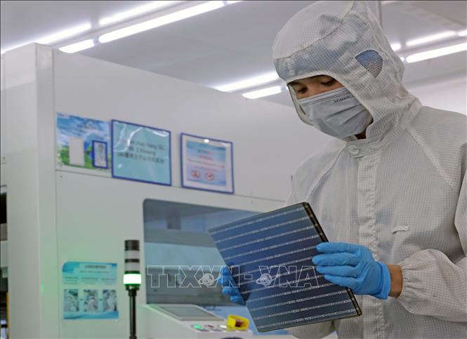 Tấm mô-đun năng lượng mặt trời sản xuất tại nhà máy Trina Solar. Ảnh: Trần Việt - TTXVN