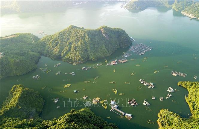 Phát triển nghề nuôi cá lồng kết hợp du lịch đang là một lợi thế lớn đối với cư dân sinh nuôi thủy sản trên mặt nước của hồ Hòa Bình. Ảnh: Trọng Đạt - TTXVN