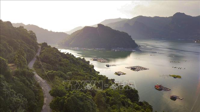 Phát triển nghề nuôi cá lồng kết hợp du lịch đang là một lợi thế lớn đối với cư dân sinh nuôi thủy sản trên mặt nước của hồ Hòa Bình. Ảnh: Trọng Đạt - TTXVN