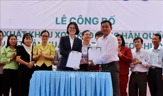 Huyện An Phú ký kết hợp đồng liên kết tiêu thụ xoài với Công ty TNHH Hoàng Phát Fruit. Ảnh: Thanh Sang - TTXVN