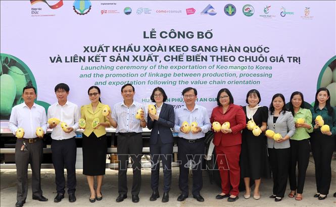 Lãnh đạo huyện An Phú, tỉnh An Giang cùng doanh nghiệp công bố lô xoài keo An Giang xuất đi Hàn Quốc. Ảnh: Thanh Sang - TTXVN