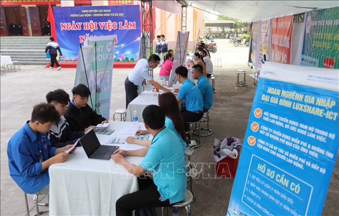 Tư vấn, tuyển sinh học nghề, giới thiệu việc làm. Ảnh: Danh Lam-TTXVN
