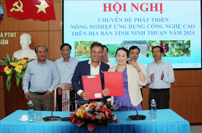 Các doanh nghiệp, hợp tác xã tại Ninh Thuận ký kết bản ghi nhớ hợp tác bao tiêu sản phẩm nông nghiệp ứng dụng công nghệ cao. Ảnh: Công Thử - TTXVN