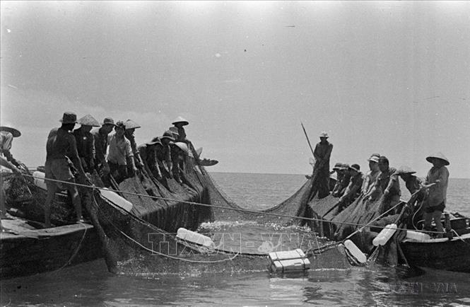 Ngư dân xã An Hải (Tuy An, Phú Khánh) đánh bắt cá thu, cá ngừ (1977). Ảnh: Trọng Nghiệp - TTXVn