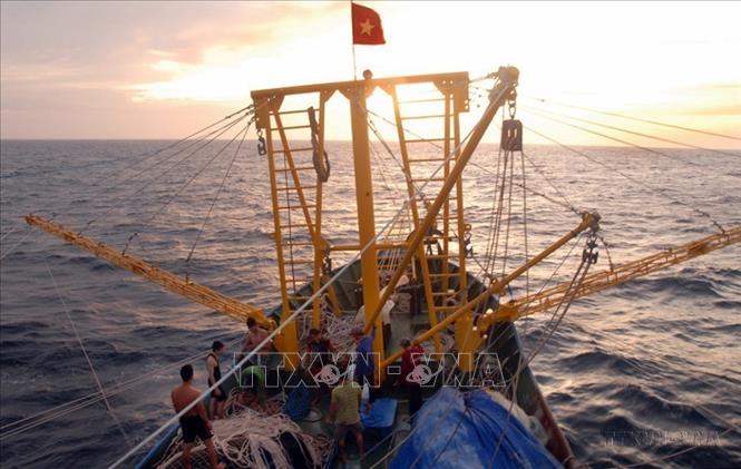 Tàu cá vỏ thép QNg 94359TS có công suất 811 CV - chiếc tàu cá vỏ thép đầu tiên được đóng mới từ nguồn vốn vay ưu đãi của Quỹ hỗ trợ ngư dân tỉnh Quảng Ngãi ra khơi khai thác hải sản tại ngư trường Biển Đông (2015). Ảnh: Quang Quyết – TTXVN