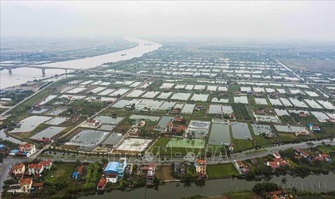 Diện tích nuôi thuỷ sản hằng năm của tỉnh Nam Định hiện đạt 16.000 ha, sản lượng ước hơn 128.760 tấn. Ảnh: Vũ Sinh - TTXVN